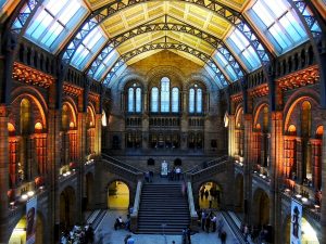 natural-history-museum-545186_1280