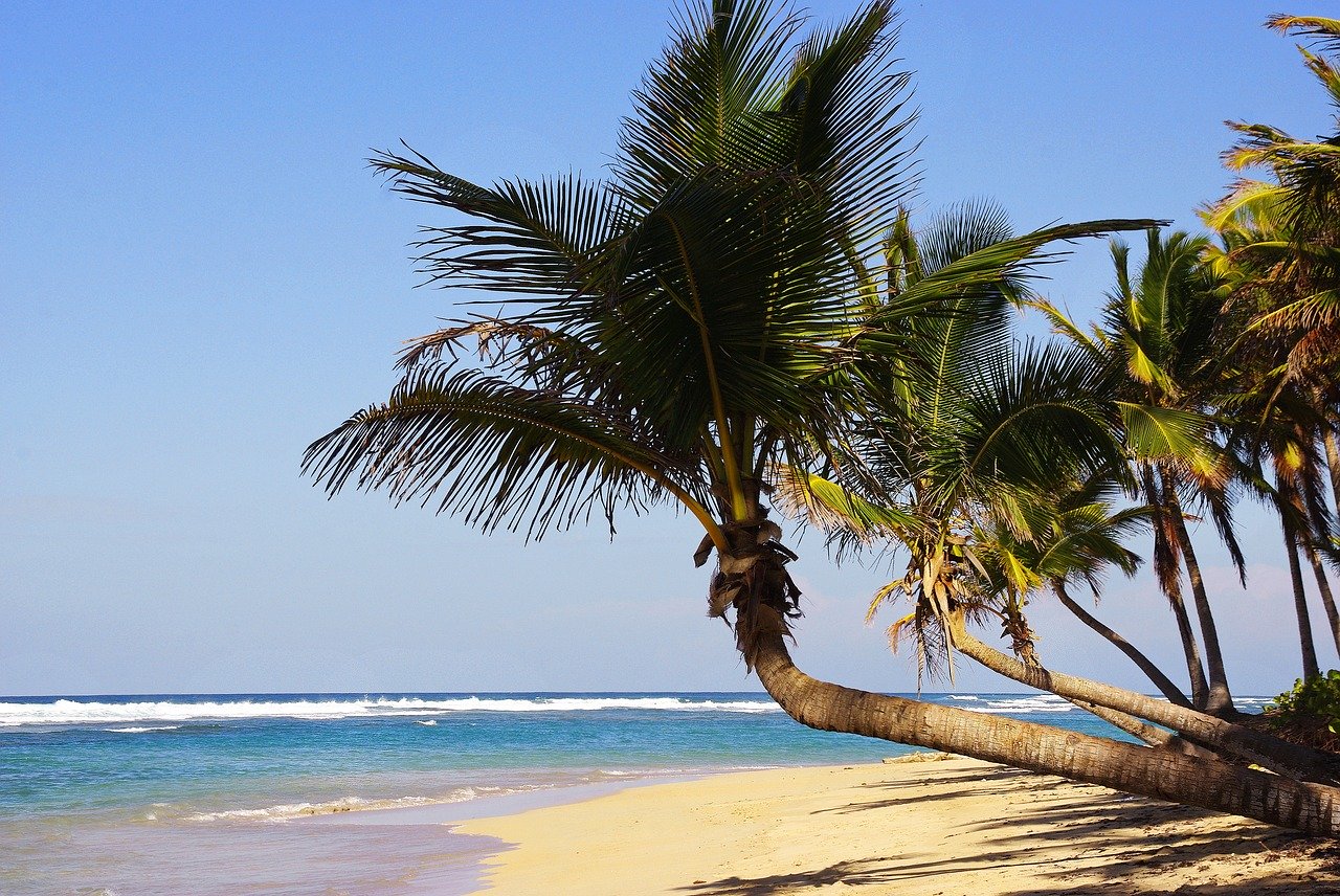 Why I Enjoy Escaping to Punta Cana