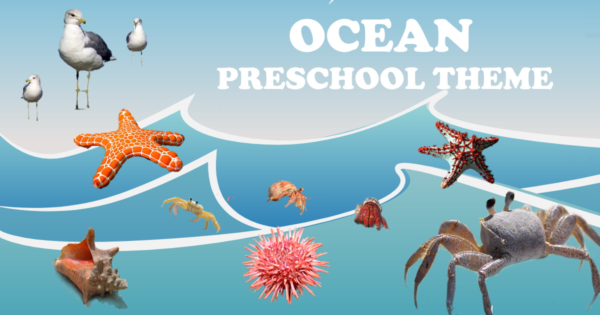 Ocean Preschool Theme